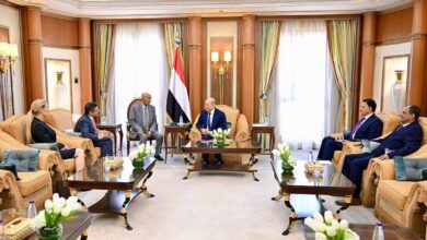 العليمي: ملتزمون بالسلام الشامل لإنهاء معاناة اليمنيين
