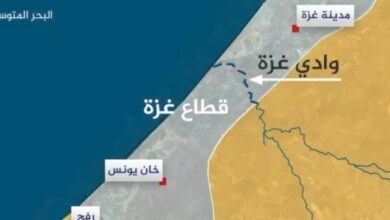 فيديو | تعرفوا على غزة