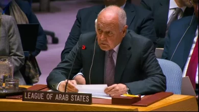 «الجامعة العربية» تدعم انتقالاً سياسياً دون «إملاءات خارجية» في سوريا