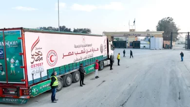 3500 شاحنة مساعدات دخلت من مصر إلى غزة منذ بدء «الهدنة»