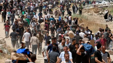 فوضى المساعدات في غزة… معاناة وسرقات و«إذلال متعمد»